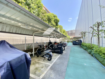 ̑p oCNu