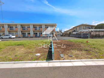 ���n�y�n�ʐ^ -