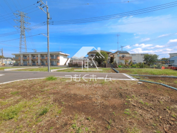 ���n�y�n�ʐ^ -