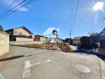 ���n�y�n�ʐ^ -