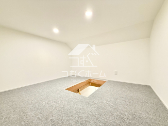 ���̑����� -