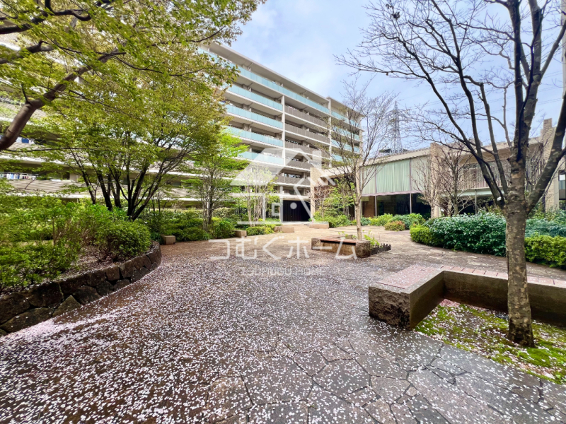 ���̑����p�� -